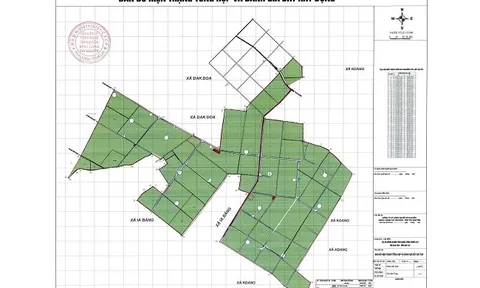 Thông tin doanh nghiệp thực hiện dự án nông nghiệp công nghệ cao hơn 1.600 tỷ đồng tại Gia Lai