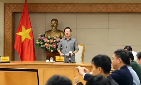 Phó Thủ tướng Trần Hồng Hà: Chủ động phương án ứng phó đa thiên tai do ảnh hưởng bão số 12