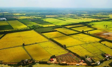 Chính phủ thông qua nội dung dự thảo về một số cơ chế, chính sách tháo gỡ khó khăn, vướng mắc trong thi hành Luật Đất đai