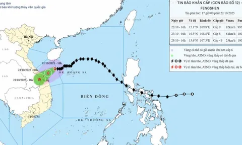 Thủ tướng chỉ đạo tập trung phòng, tránh, ứng phó mưa lũ, ngập lụt tại khu vực Trung Trung Bộ