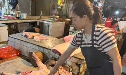 Khởi tố 3 người mua, bán, giết mổ số lượng lớn lợn dịch bệnh