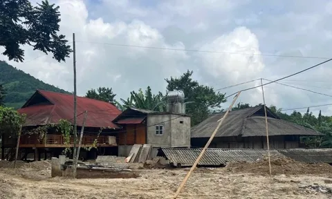 Hơn 100.000 m³ cát trôi vào ngôi làng tại Lào Cai trị giá khoảng 20- 30 tỷ đồng