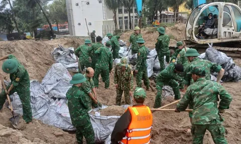 Đà Nẵng khẩn trương ứng cứu bờ biển An Bàng bị sạt lở nghiêm trọng