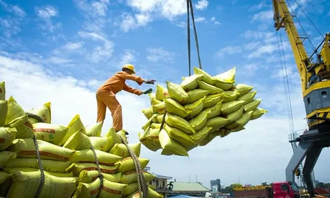 Xuất khẩu gạo đạt hơn 7 triệu tấn