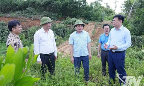 Đẩy nhanh tiến độ thu ngân sách từ đất đai