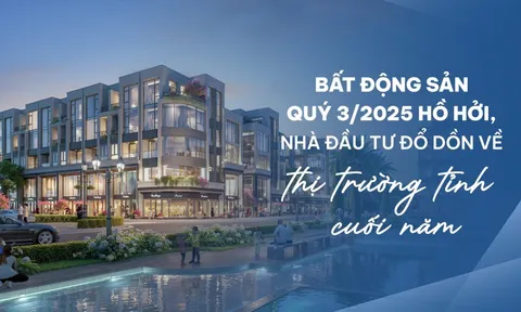 BHS R&D: Bất động sản quý 3 hồ hởi, nhà đầu tư đổ dồn về thị trường tỉnh cuối năm