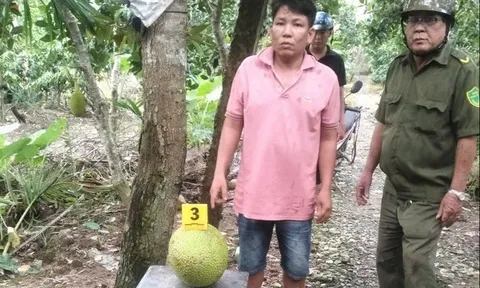 Trộm 2 trái mít, người đàn ông bị khởi tố