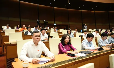 ĐBQH kiến nghị hoàn thiện chính quyền địa phương 2 cấp, cải thiện tiền lương, thu nhập cán bộ