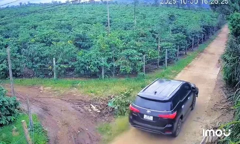 Tông người đi xe máy tử vong, tài xế lái ô tô bỏ trốn vào rẫy cà phê