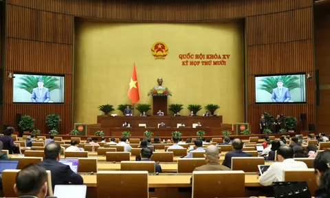 Đề xuất chuyển giao chi nhánh văn phòng đăng ký đất đai về cấp xã quản lý