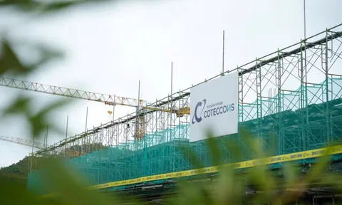 Coteccons báo lãi ròng 294 tỷ đồng trong quý đầu năm tài chính 2026