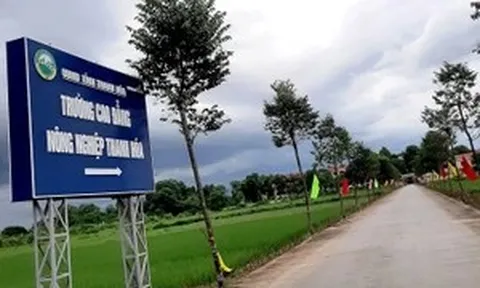 Học sinh lớp 10 sức khỏe nguy kịch vì bị nhóm bạn hành hung tại lớp học