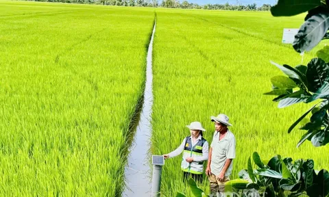 Phát huy truyền thống 80 năm, ngành Nông nghiệp và Môi trường hướng tới chặng đường phát triển mới