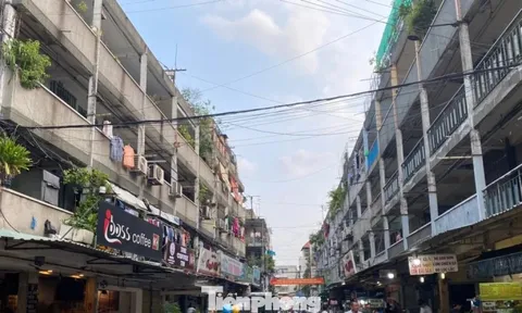 Chỉ đạo mới nhất của TPHCM về kiểm định chung cư cũ