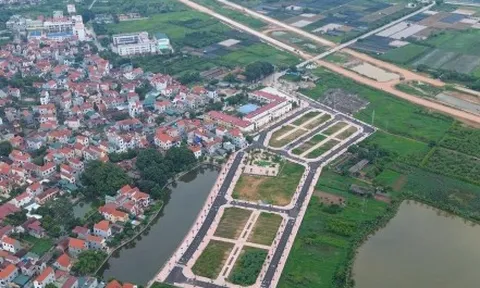 Tham gia đấu giá đất rồi bỏ cọc có thể bị 'cấm cửa' tới 10 năm