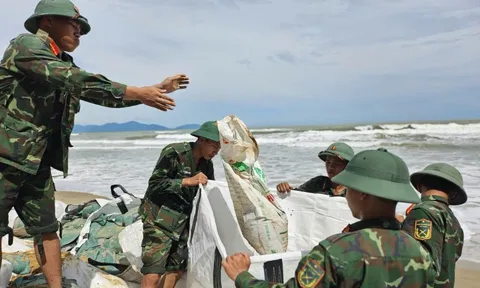 Nỗ lực dựng kè chắn sóng, bảo vệ bờ biển Hội An trước bão Kalmaegi