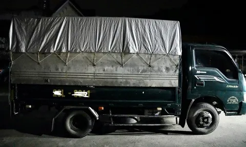 Khởi tố đối tượng lái xe tải đâm bố vợ cũ tử vong