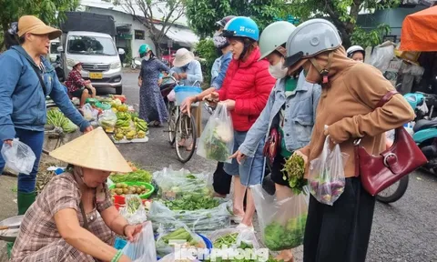 'Mấy hôm nay mua rau đắt hơn cá thịt'