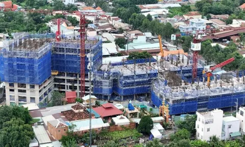 Wellbeing Living - "Thành phố chữa lành bên sông" Đồng Nai