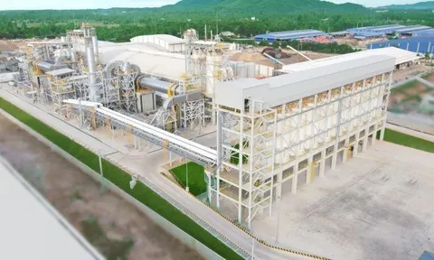 Doanh nghiệp nào thực hiện dự án Nhà máy sản xuất viên nén gỗ hơn 315 tỷ đồng tại Đắk Lắk?