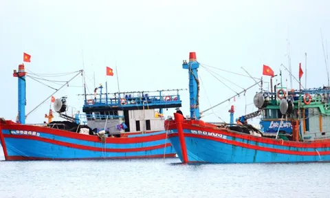 Thanh Hóa: Cần nâng cấp hệ thống VMS để chống khai thác IUU