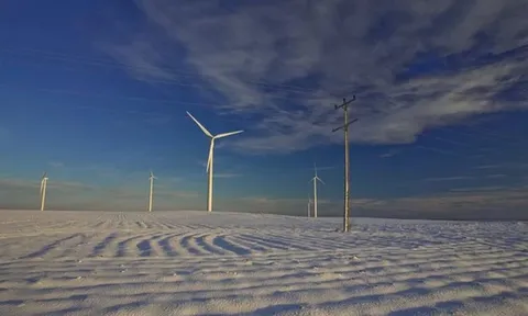 Nguyên nhân dự án trang trại điện gió 800MW bị từ chối