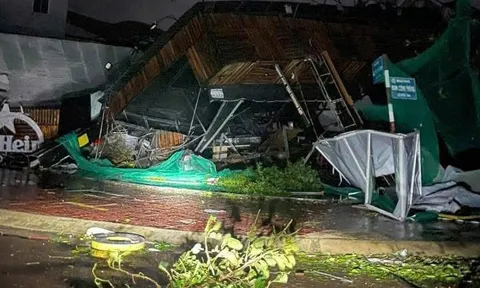 Hỗ trợ khẩn cấp 80 tỷ đồng cho 3 tỉnh Quảng Ngãi, Gia Lai, Đắk Lắk khắc phục hậu quả bão số 13