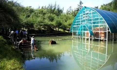 Phê bình đơn vị quản lý để di tích Tháp Chăm Phú Diên ngập nước kéo dài