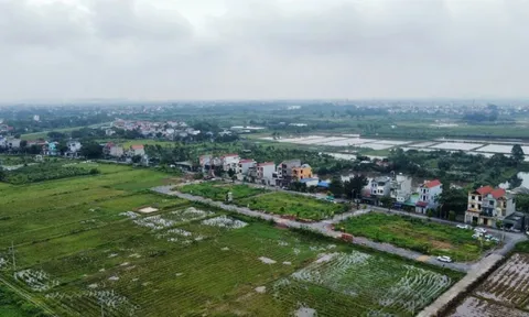 Kéo dài miễn thuế sử dụng đất nông nghiệp thêm 5 năm