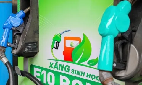 Sau hơn 3 tháng bán thí điểm, xăng E10 được tiêu thụ thế nào?