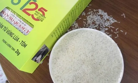 Gạo ST 25 lần thứ 3 thắng giải "gạo ngon nhất thế giới"