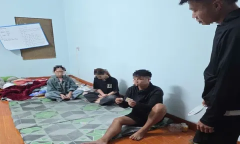 Kiểm tra khu nhà ở của nhóm "chăn dắt gái", phát hiện nhóm đối tượng dương tính ma túy