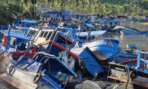 Thủ phủ tôm hùm "bay" hơn 20 tỉ đồng chỉ 1 đêm bão số 13