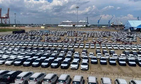 Hình ảnh hàng ngàn chiếc ô tô nhập về cảng TP HCM