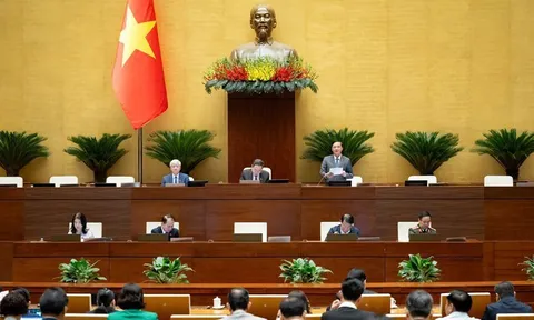 Cân nhắc kỹ các yếu tố được xem là tình tiết để xét giảm án