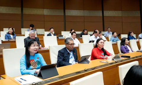 Đại biểu Quốc hội đề nghị làm rõ quyền viên chức tham gia doanh nghiệp