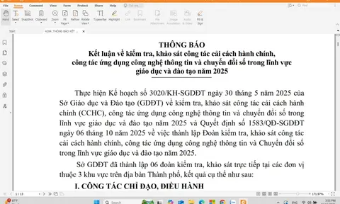 Bất ngờ kết luận kiểm tra nhiệm vụ giảng dạy của nhiều hiệu trưởng, phó hiệu trưởng ở TP HCM