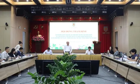 Cần cơ chế, chính sách đặc thù để phát triển TP. Đà Nẵng