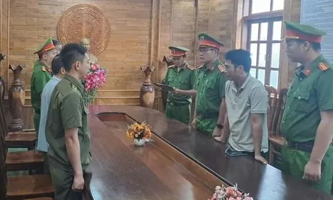 Cày nát khoai trên đất nhà mình, người đàn ông bị bắt tạm giam