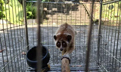 Bảo tồn động vật hoang dã: Từ chủ trương đến thực tiễn