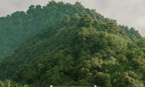 Ngôi nhà thiết kế đậm phong cách truyền thống miền Bắc