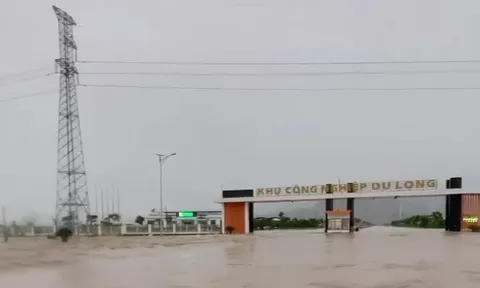 Lũ lớn tại Khu công nghiệp Du Long, EVNCPC chủ động cắt điện nhằm bảo đảm an toàn