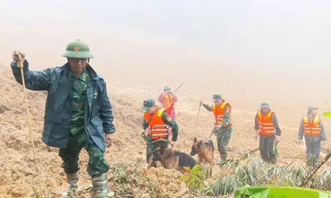 Tăng cường 'cảnh khuyển' tìm kiếm nạn nhân trong vụ sạt lở núi ở Đà Nẵng