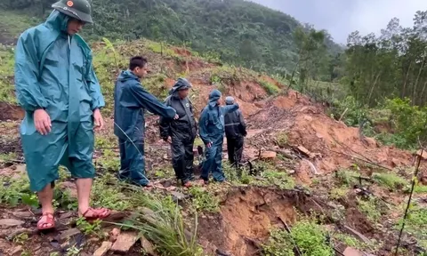 Phát hiện nhiều vết nứt ở núi Ngang, Đà Nẵng sơ tán khẩn cấp 59 hộ dân