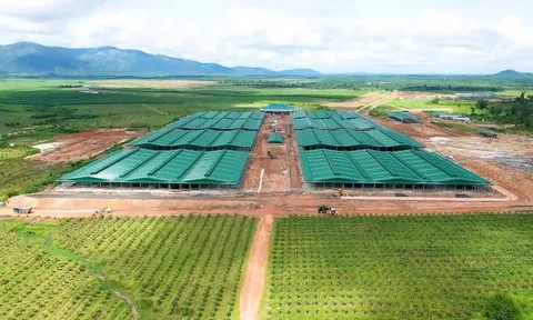 Thaco của tỷ phú Trần Bá Dương đang làm dự án nào tại Gia Lai?