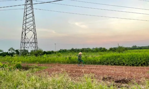 Thông tin mới tại siêu dự án hơn 1,5 tỷ USD ở Hưng Yên