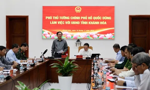 Chính phủ hỗ trợ 50 tỷ đồng cho tỉnh Khánh Hòa khắc phục khẩn cấp hậu quả mưa lũ