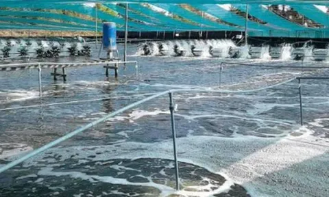 Mỹ, Trung Quốc đang đua nhau săn lùng kho báu đứng thứ 2 thế giới của Việt Nam: Nước ta có công nghệ chế biến dẫn đầu, vừa thu về gần 4 tỷ USD