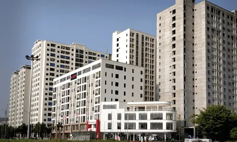 Bắc Ninh ban hành loạt khung giá mới cho quản lý vận hành chung cư, nhà lưu trú công nhân và nhà ở xã hội từ ngày 1/12