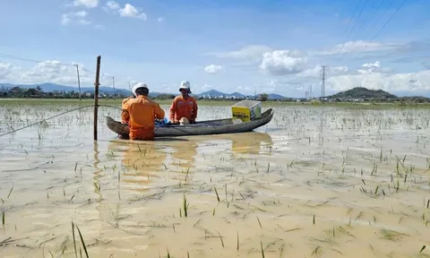 Hơn 553.000 khách hàng miền Trung - Tây Nguyên mất điện do mưa lũ